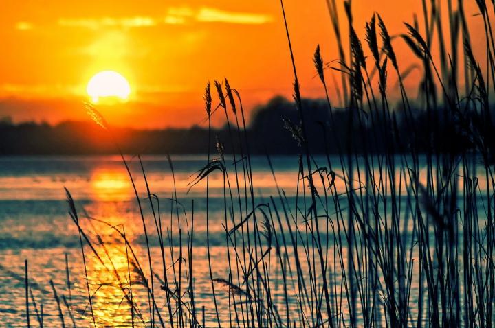 Sunset at Lake with Reeds